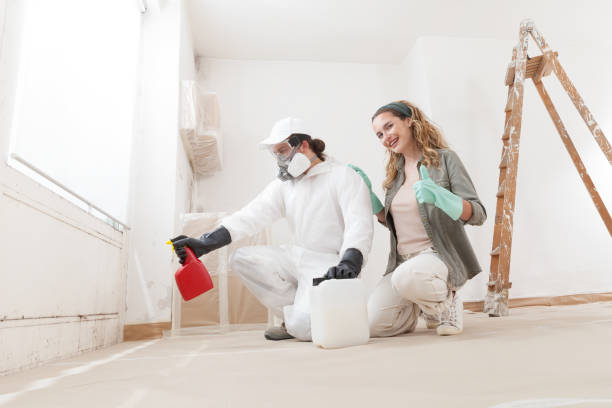 Best Mold Documentation for Insurance Claims  in Arlington Heights, PA